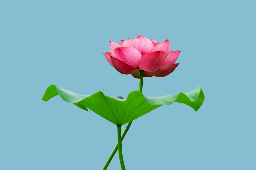 更多医疗机构将完善无障碍环境建设